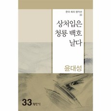 상처입은 청룡 백호 날다 - 한국희곡명작선 33, 평민사, 윤대성