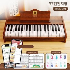 연습용 피아노 미니 입문용 초보 연습 소형 교육용 입문, B. 37건반 호두색 피아노