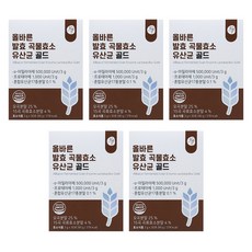 올바른 발효 곡물효소 유산균 골드, 90g, 5개