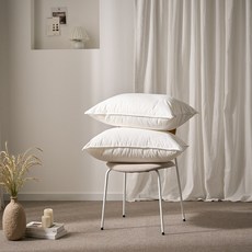 아띠랑스 국내생산 프리미엄 순면100% 코튼 베개솜, 2개, 화이트