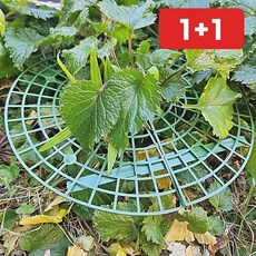 딸기 모종 받침대 지지대 짓무름방지 해충방지 텃밭 원예 베란다 화분 1+1, 1개
