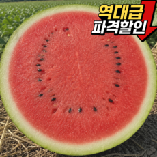 [13Brix당도선별] 고당도 고령 우곡 수박, 1개, 7kg 이상