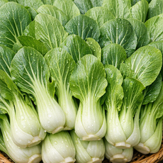 (과일장터) 국내산 신선한 청경채 4kg, 1박스