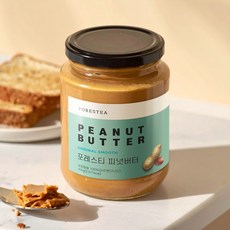 포레스티 국내제조 무첨가 100% 땅콩버터, 1개, 450g