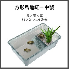 特大號方形烏龜缸 58x34x19公分 寬敞空間 堅固耐用, 1個, 1.3L