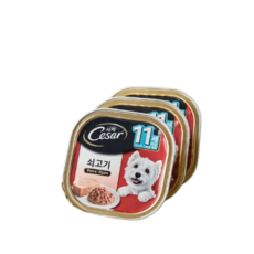 몰리스 시저 11세 이상 쇠고기 캔 3개입, 1개, 300g