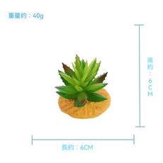 仿真多肉植物 綠植造景 爬蟲飼養佈置, 1個, 可愛多肉DR-8