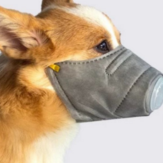 강아지 필터 마스크 안전 반려견 황사 애견 미세먼지 마스크 위생 반려동물 애완견 외출 안심 애완 건강, 중형