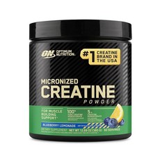 Optimum Nutrition 미립자 크레아틴 모노하이드레이트 파우더 블루베리 레모네이드 크레아틴 60회분 360g(포장은 다를 수 있음), 360g, 1개