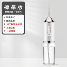 豪華版 高頻脈衝沖牙機 45天續航, 高壓脈衝技術沖牙器【白色】標準款單噴頭
