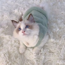 투니스 반려동물 스타일리시 배색 양면 기모 민소매 조끼, 그린, 1개