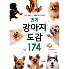 강아지 도감 174