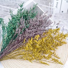 多色情人草乾燥花卡斯比亞花束滿天星勿忘我水晶花客廳裝飾DIY永生花, 金沙色(超美),一束7～8支(適合小花束)小份