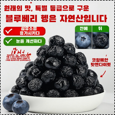 무설탕 블루베리 야생 과일 말린 것 설탕 얼룩 큰 과일 노소 누구나 말린 것 미니 냉동보관 무첨가 말린 블루베리 썩기 쉽다 영양이/풍부하다, 50g/봉지, 1