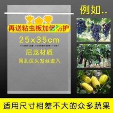 과일 야채 보호망 새 곤충 방지 반복사용 봉투 망 딸기 포도 사과 복숭아 형태보존 보호, M 25x35cm/30개