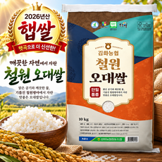 김화농협 두루웰 GAP 인증 2026년산 햅쌀 철원오대쌀 백미 상등급, 10kg, 1개