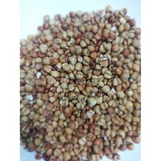 金協和【嚴選精品】紅薏仁600g 大顆飽滿 養生保健, 1個