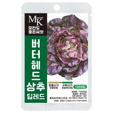 모칸도 좋은씨앗 버터헤드 상추 씨앗 딥레드 1000립 잎채소 쌈야채 샐러드 씨앗, 1개