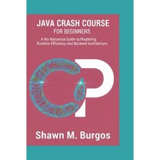 (영문도서)Java Crash Course: A No-Nonsense Guide to Mastering Runtime Efficiency and Backe... Paperback, Independently Published, English, 9798244032710