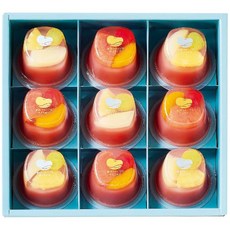 나카지마 다이쇼도 호화 과일의 물 양갱 1갑(9개)