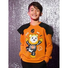 X Care Bears 트윈 보이 카툰 패턴 투 컬러 스웨트셔츠 954106