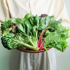 [유기농인증] 친환경 순창 모듬 쌈채소, 1kg, 1개