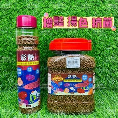 帥哥水族【彩艷】頂級增豔揚色抗菌飼料 增豔飼料 揚色飼料 魚飼料 龍魚 七彩 羅漢 金魚 慈鯛科, 1個, 280g