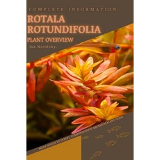 (영문도서) Rotala Rotundifolia: From Novice to Expert. Comprehensive Aquarium Plants Guide Paperback, Independently Published, English, 9798854362320
