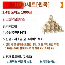 도미노1000피스 블록 쌓기 원목 교구, 원목 1000피스, 1개