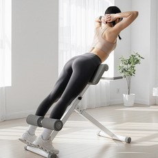 이고진 백익스텐션 코어 운동 로만체어, 베이지