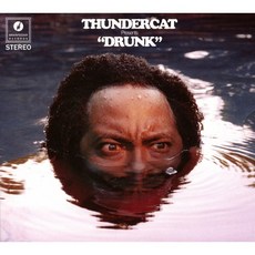 Thundercat 썬더캣 Drunk CD 앨범