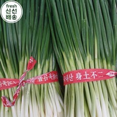 [산지직송] 신선 국산 다듬은 쪽파 깐쪽파 K Fresh Jjokpa, 1박스, 2kg