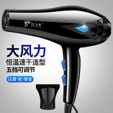 DELIYA 得力雅 家用大功率吹風機，冷熱恆溫速乾造型, 電吹風+集風嘴