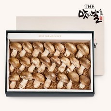 [맛있는날]무농약 참송화버섯 프리미엄 선물세트 1kg/23~26개