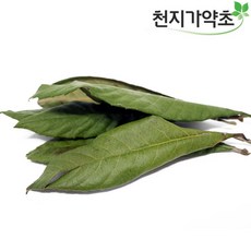 2026햇 국산 말린 통 비파잎 150g (가지는식용불가) 비파잎차 비파차, 1개, 1개입