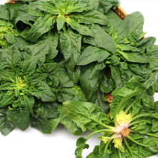 맛품 국내산 남해섬초 남해시금치 섬초, 1박스, 3kg