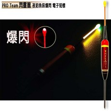PRO Team 閃靈籤 電子浮標 夜釣魚訊爆閃 適用於1 / 1.5 / 2 / 3 規格, 1個
