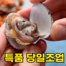 [특품선별] 국산 벌교 새꼬막 꼬막, 1박스, 1kg