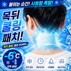 라핀다 아이스 쿨패치 붙이는 쿨링 시트 10팩 총20개, 1세트