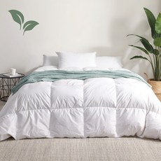 호레카클래식스 알러지케이이불 겨울 차렵이불 사계절 호텔이불 침구세트, 비건이불-단품, 화이트