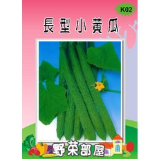 【野菜部屋】K02 日本長型小黃瓜種子 品質穩定 口感佳, 1包