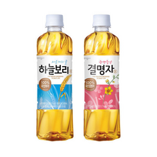 웅진 하늘보리+결명자 총, 1개, 500ml, 10개