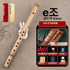 국악기 입문자용 단소 전통 경량 케이스 초보자용 연주 휴대용 연습용, 1개, [E 키] (가죽 케이스)