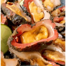 해녀언니 돌멍게 자연산 1kg, 1개