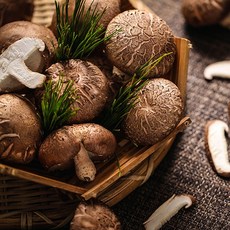 국내산 무농약 GAP 생표고버섯 가정용 (20-40g내외) [1kg/box], 1개, 1kg