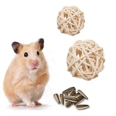 등나무공 햄스터 장난감 앵무새 노즈워크, 쿠팡 2-햄스터공5cm, 2-햄스터공5cm