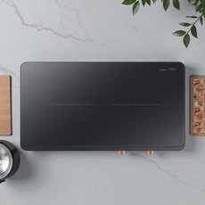 삼성전자 더 플레이트 인덕션 2구 자가설치 블랙, NZ62DG300CFK/정품인증, 프리스탠딩