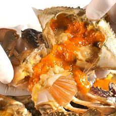 [최상급원물] 국내산 알배기 암꽃게, 1박스, 2kg