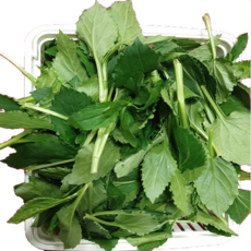 [참별농원] 울릉도 취나물(부지깽이) 2Kg / 당일채취 신선한 생부지깽이 나물, 1kg, 2