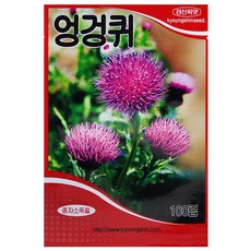 세인화분 국산 엉겅퀴 100립 - 씨 씨앗 꽃 재래종 약재 국화, 1개